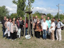 10 Jahre Park in Halle